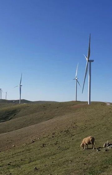 over-the-years-image