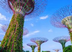 singapour_home_green_city